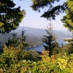 View from Burnaby mountain